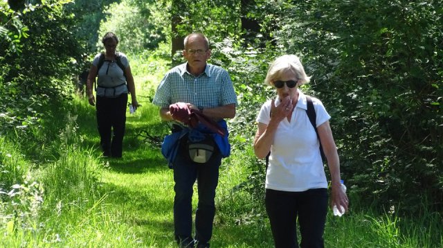 Singels en Essen wandeltocht (zondag  9 juni 2019)